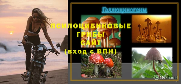 гашик Нягань