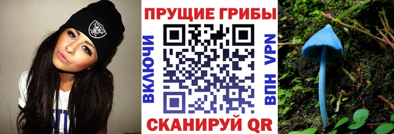цены наркотик Холм Галлюциногенные грибы прущие грибы